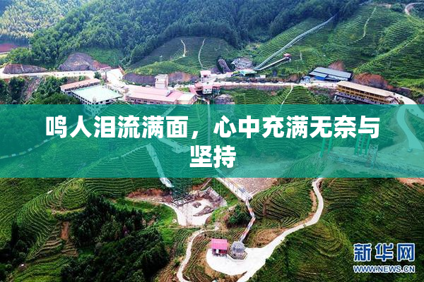 鸣人泪流满面，心中充满无奈与坚持