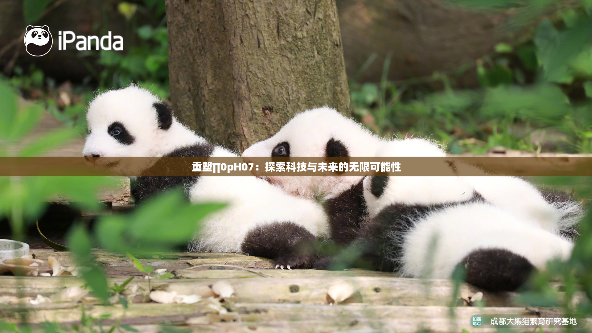 重塑∏0pH07：探索科技与未来的无限可能性