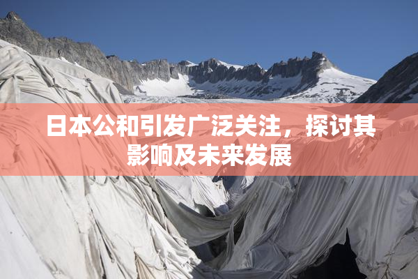 日本公和引发广泛关注，探讨其影响及未来发展