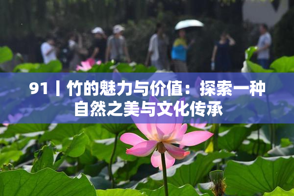91丨竹的魅力与价值：探索一种自然之美与文化传承