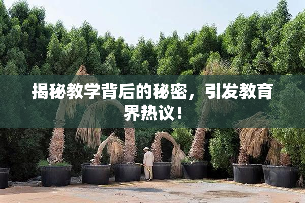 揭秘教学背后的秘密，引发教育界热议！