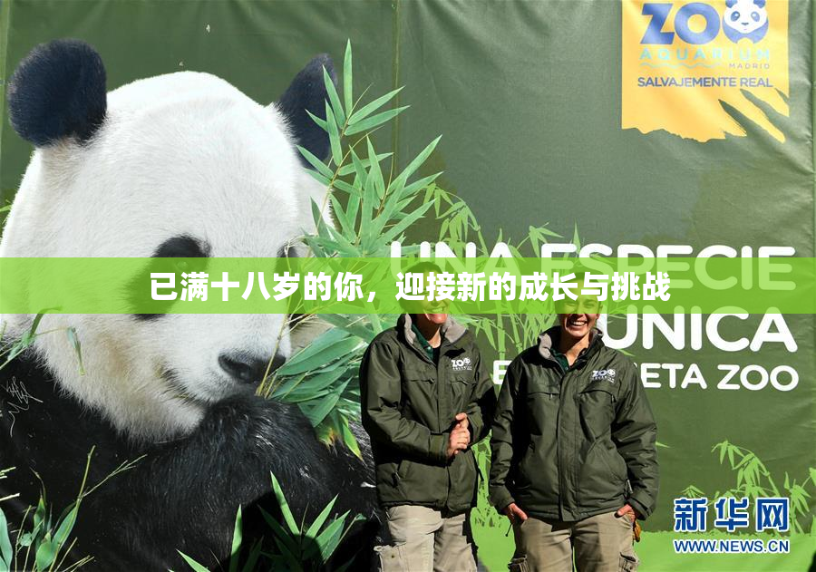已满十八岁的你，迎接新的成长与挑战