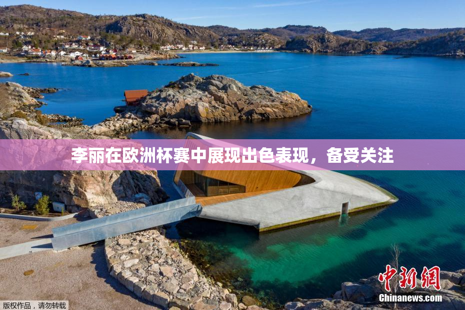 李丽在欧洲杯赛中展现出色表现，备受关注