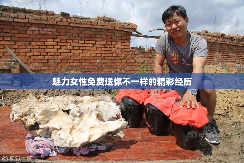 魅力女性免费送你不一样的精彩经历