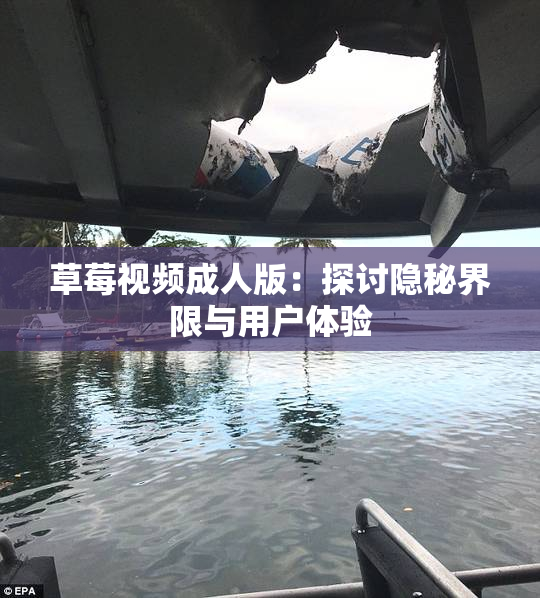 草莓视频成人版：探讨隐秘界限与用户体验