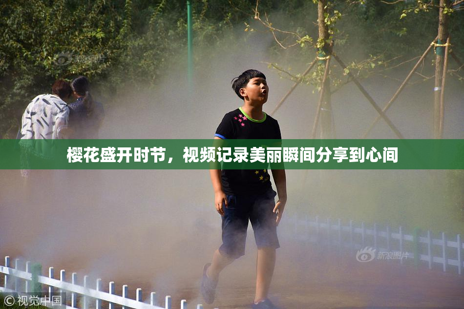 樱花盛开时节，视频记录美丽瞬间分享到心间