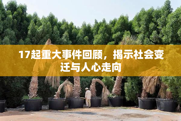 17起重大事件回顾，揭示社会变迁与人心走向