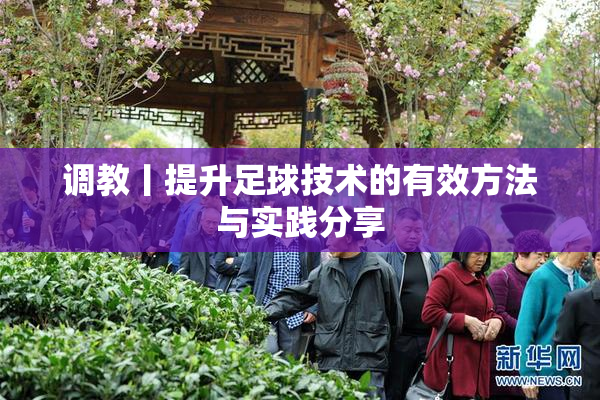 调教丨提升足球技术的有效方法与实践分享