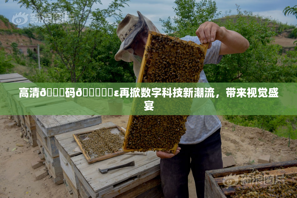 高清🈚码🔞❌‌ε再掀数字科技新潮流，带来视觉盛宴