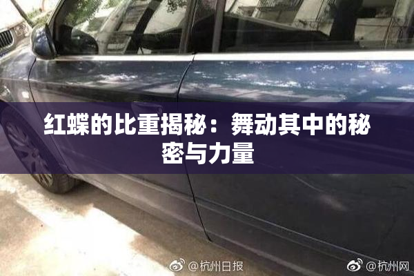 红蝶的比重揭秘：舞动其中的秘密与力量