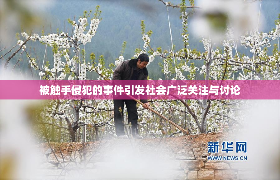 被触手侵犯的事件引发社会广泛关注与讨论