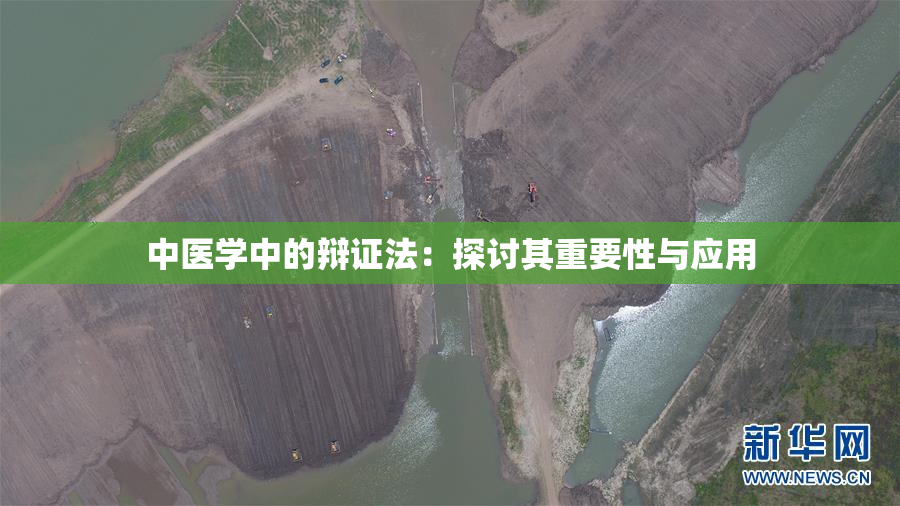 中医学中的辩证法：探讨其重要性与应用