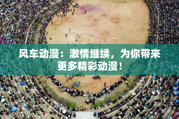风车动漫：激情继续，为你带来更多精彩动漫！