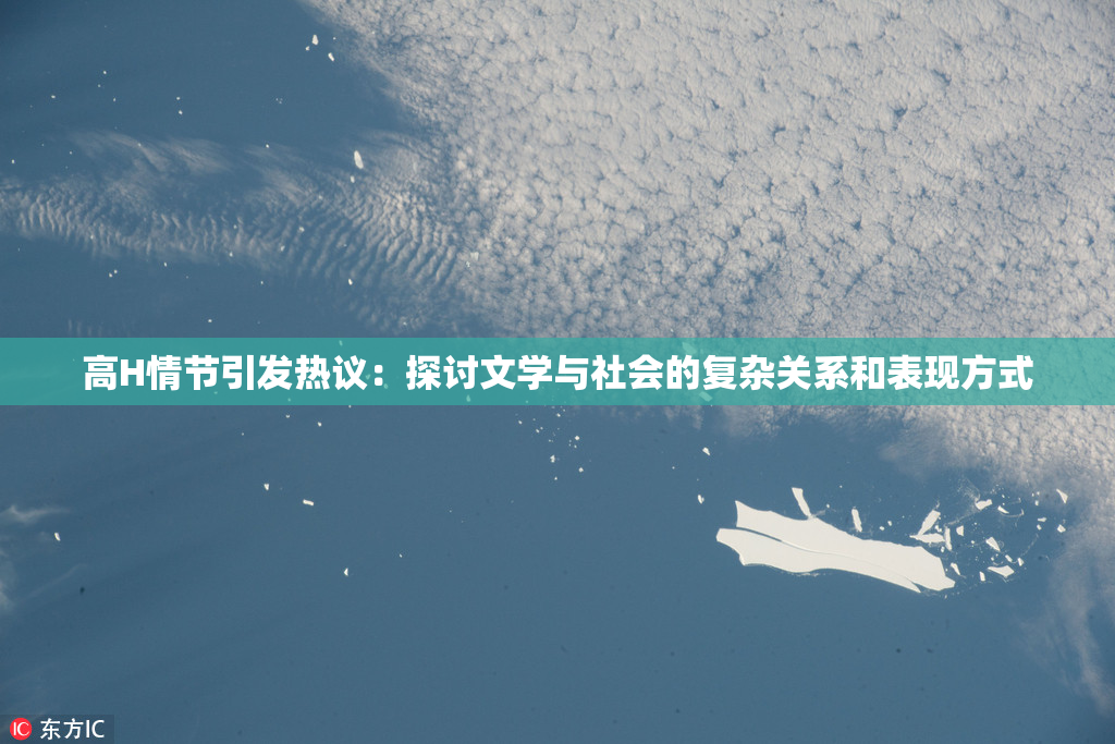 高H情节引发热议：探讨文学与社会的复杂关系和表现方式
