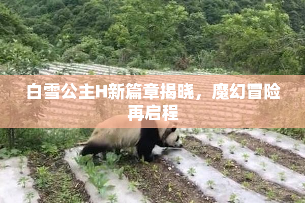 白雪公主H新篇章揭晓，魔幻冒险再启程