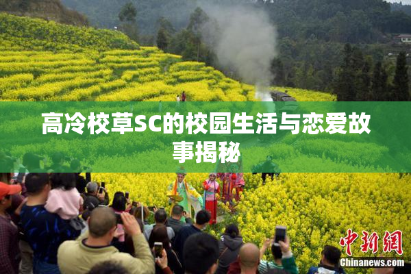 高冷校草SC的校园生活与恋爱故事揭秘