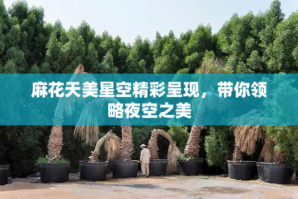 麻花天美星空精彩呈现，带你领略夜空之美