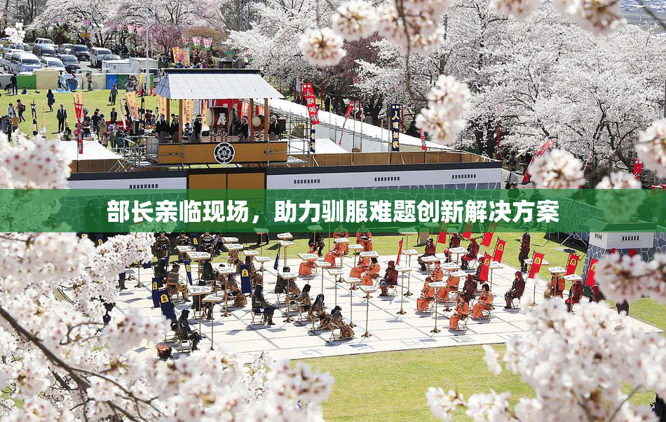 部长亲临现场，助力驯服难题创新解决方案