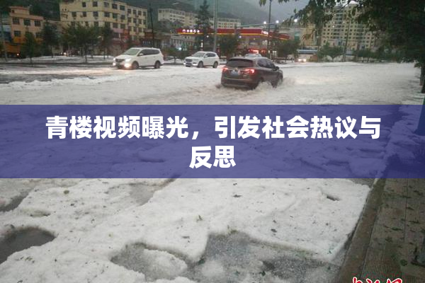 青楼视频曝光，引发社会热议与反思