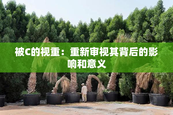 被C的视重：重新审视其背后的影响和意义