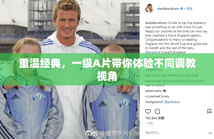 重温经典，一级A片带你体验不同调教视角