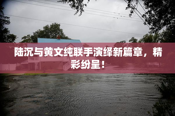 陆沉与黄文纯联手演绎新篇章，精彩纷呈！