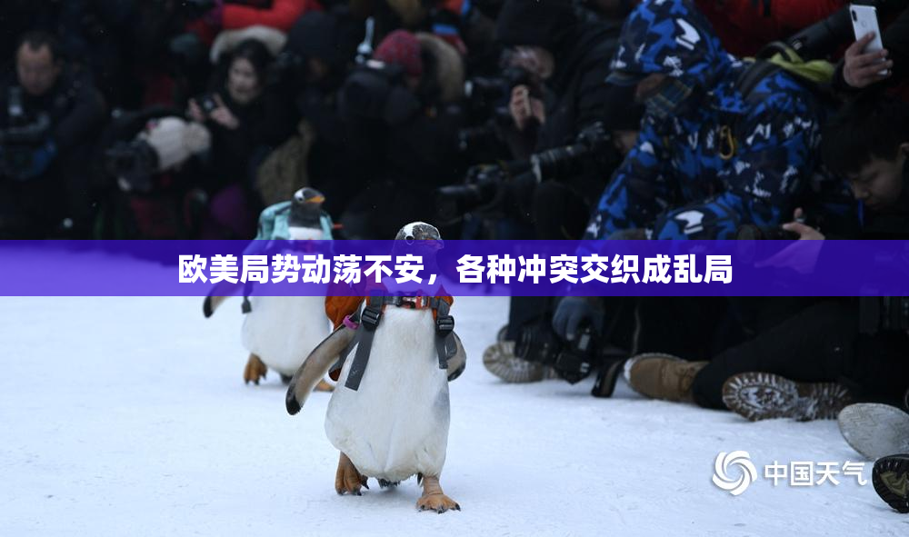 欧美局势动荡不安，各种冲突交织成乱局
