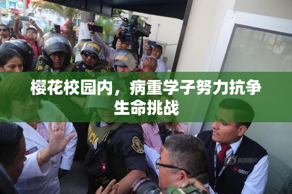 樱花校园内，病重学子努力抗争生命挑战