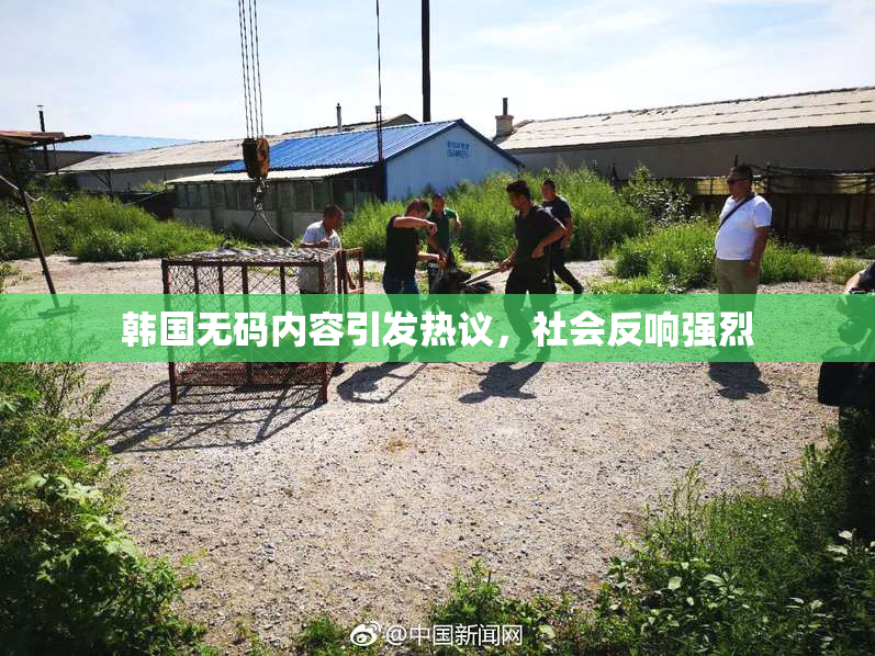 韩国无码内容引发热议，社会反响强烈