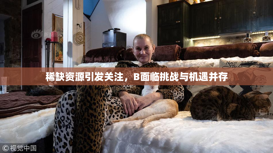 稀缺资源引发关注，B面临挑战与机遇并存