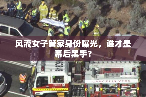 风流女子管家身份曝光，谁才是幕后黑手？