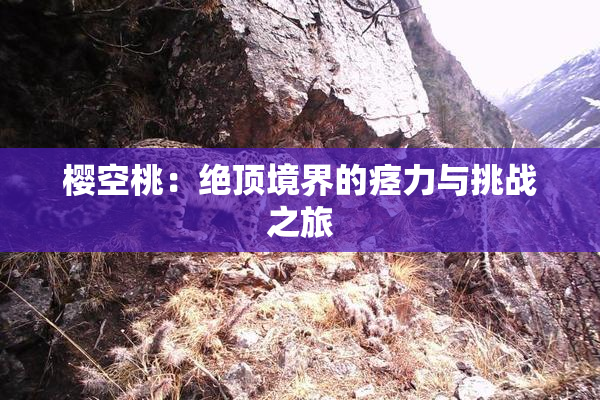樱空桃：绝顶境界的痉力与挑战之旅
