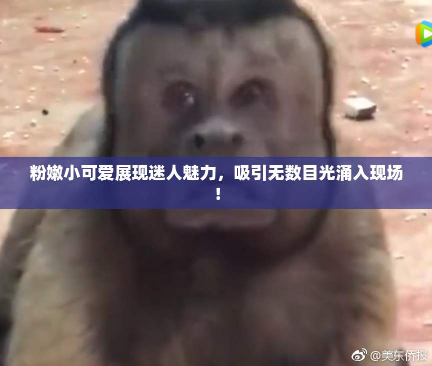 粉嫩小可爱展现迷人魅力，吸引无数目光涌入现场！