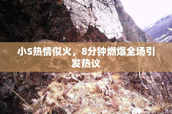 小S热情似火，8分钟燃爆全场引发热议