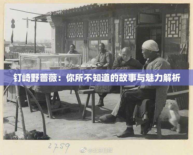 钉崎野蔷薇：你所不知道的故事与魅力解析