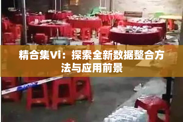 精合集Vi：探索全新数据整合方法与应用前景