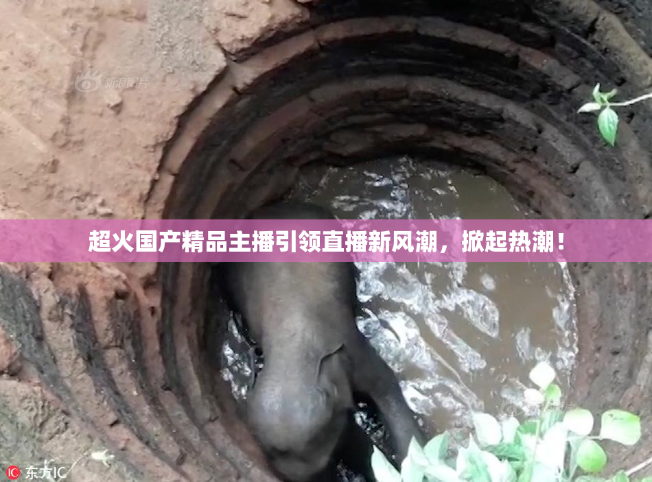 超火国产精品主播引领直播新风潮，掀起热潮！