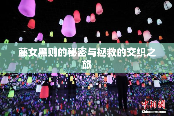 藤女黑则的秘密与拯救的交织之旅