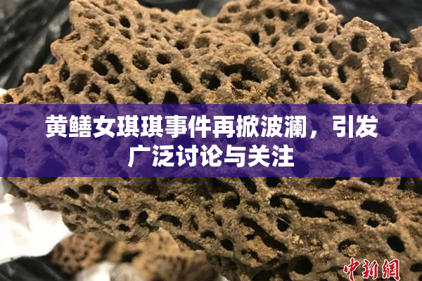 黄鳝女琪琪事件再掀波澜，引发广泛讨论与关注