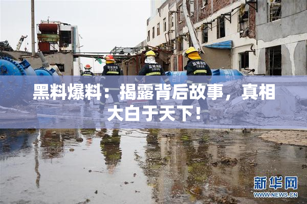 黑料爆料：揭露背后故事，真相大白于天下！