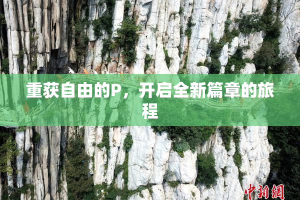 重获自由的P，开启全新篇章的旅程