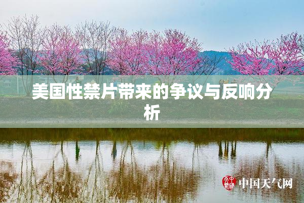 美国性禁片带来的争议与反响分析