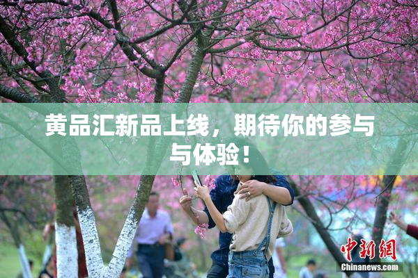黄品汇新品上线，期待你的参与与体验！