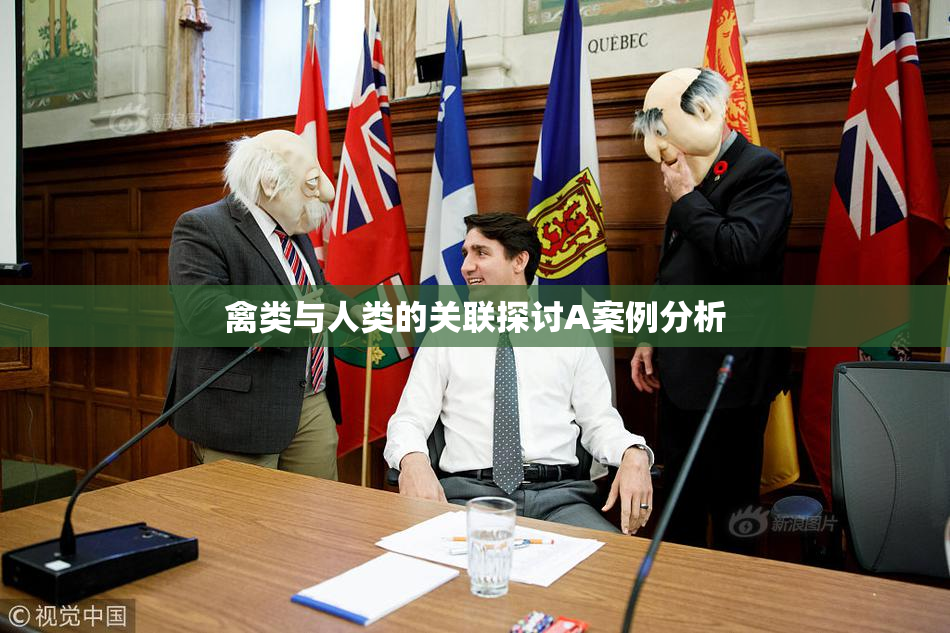 禽类与人类的关联探讨A案例分析