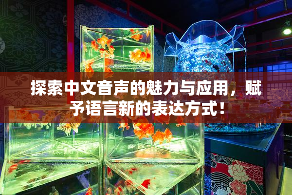 探索中文音声的魅力与应用，赋予语言新的表达方式！