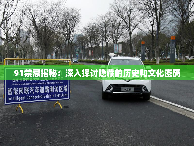 91禁忌揭秘：深入探讨隐藏的历史和文化密码