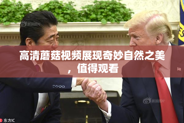 高清蘑菇视频展现奇妙自然之美，值得观看