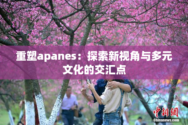 重塑apanes：探索新视角与多元文化的交汇点