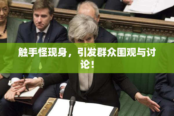 触手怪现身，引发群众围观与讨论！