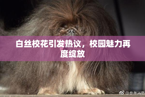 白丝校花引发热议，校园魅力再度绽放